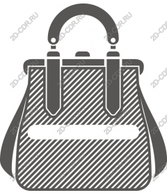  Chic handbag