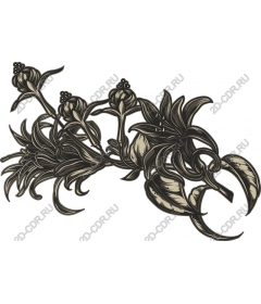  Elegant floral