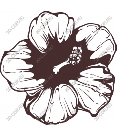 Vintage hibiscus