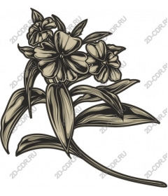 Elegant vintage floral