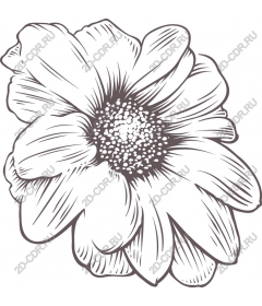  Elegant flower