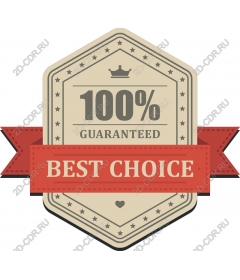 Icon "100% guarantee of the best choice"