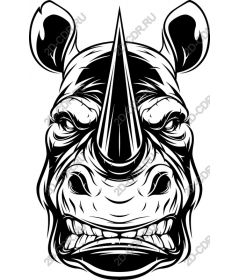 The head of a Rhino in black and white