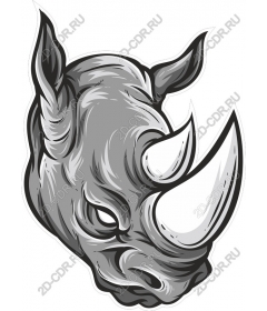Head of a ferocious Rhino