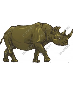 Rhino