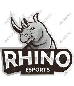  Rhino Киберспорт