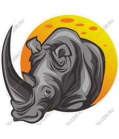 Majestic Rhino