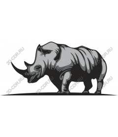 Majestic Rhino