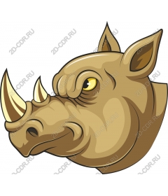 Head Rhino