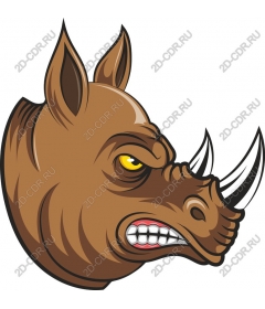 Head Rhino