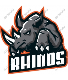 The power of a Rhino