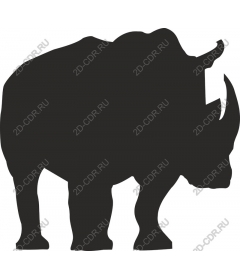 Rhino