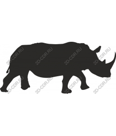  Rhino