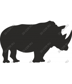  Rhino