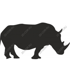  Rhino