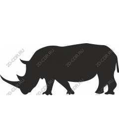 Rhino