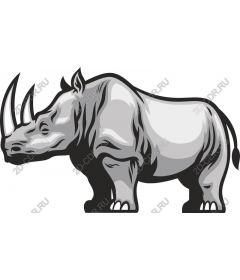  Rhino - Premium