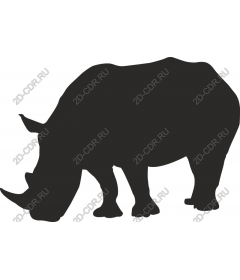 Rhino