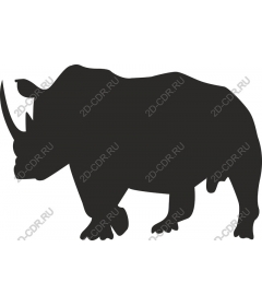 Rhino