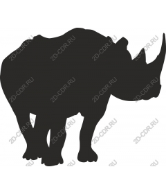 Rhino