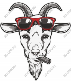 Trendy Goat