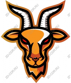 The head is furious the orange goat