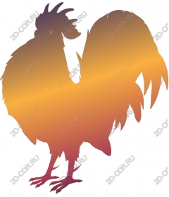 Majestic Cock