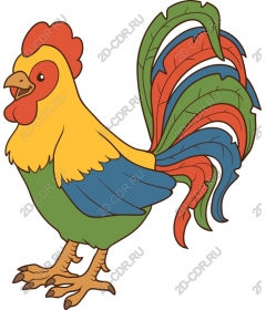  Colorful Cock