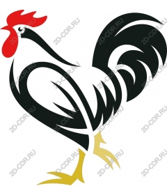 Proud Rooster
