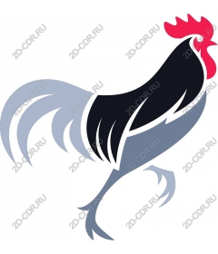  Bright Cock