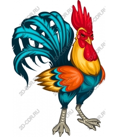  Bright Cock