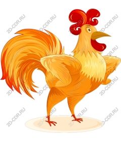  Bright Cock