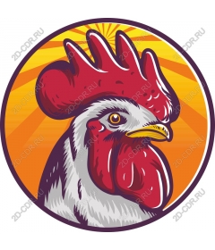  Bright Cock