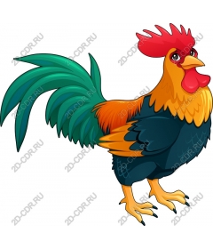  Bright Cock