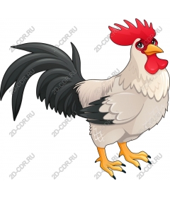  Charming Cock
