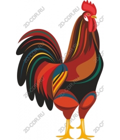  Bright Cock