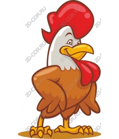  Colorful cartoon rooster