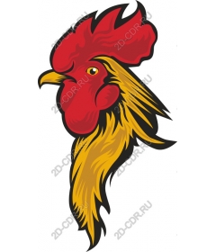  Bright Cock