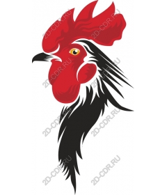  Bright Cock