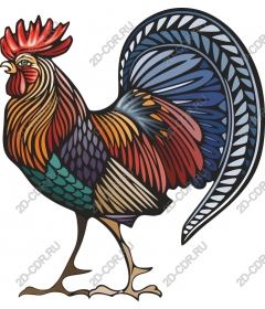  Colorful Cock