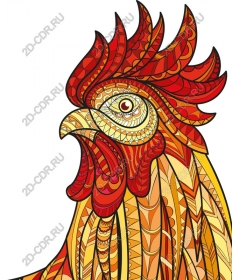  Bright Cock