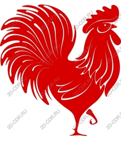  Bright red cock