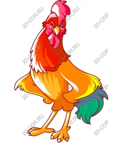 Colorful Cock