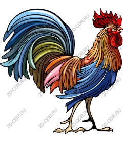  Bright Cock