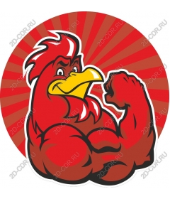 Dynamic muscular cock