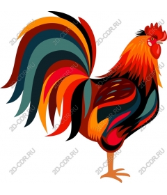  Colorful Cock