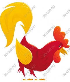  Bright Cock