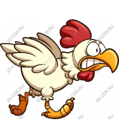  Unusual chicken