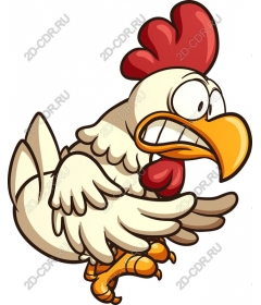  Bizarre cartoon chicken