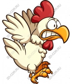  Fancy chicken